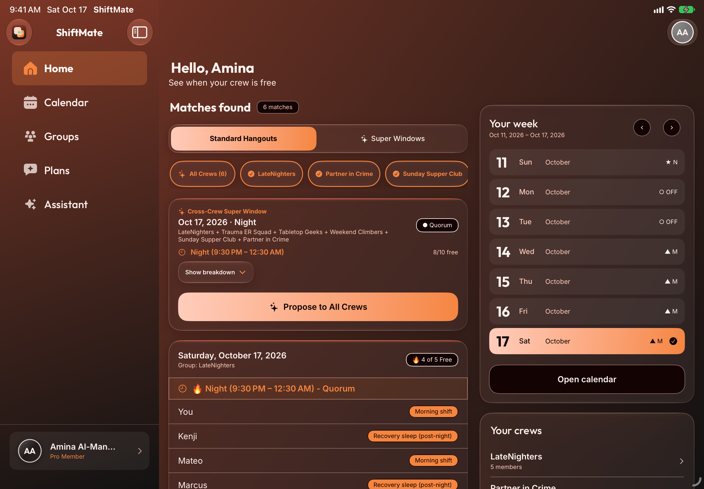 ShiftMate on iPad Air